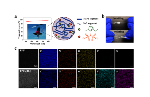 图1. 离子凝胶的结构