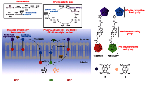 J[~6Q~@WDB[X1[7ADT%FZ5B