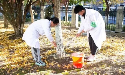 e190794dc4fa9ecb73ed0854ee90db50